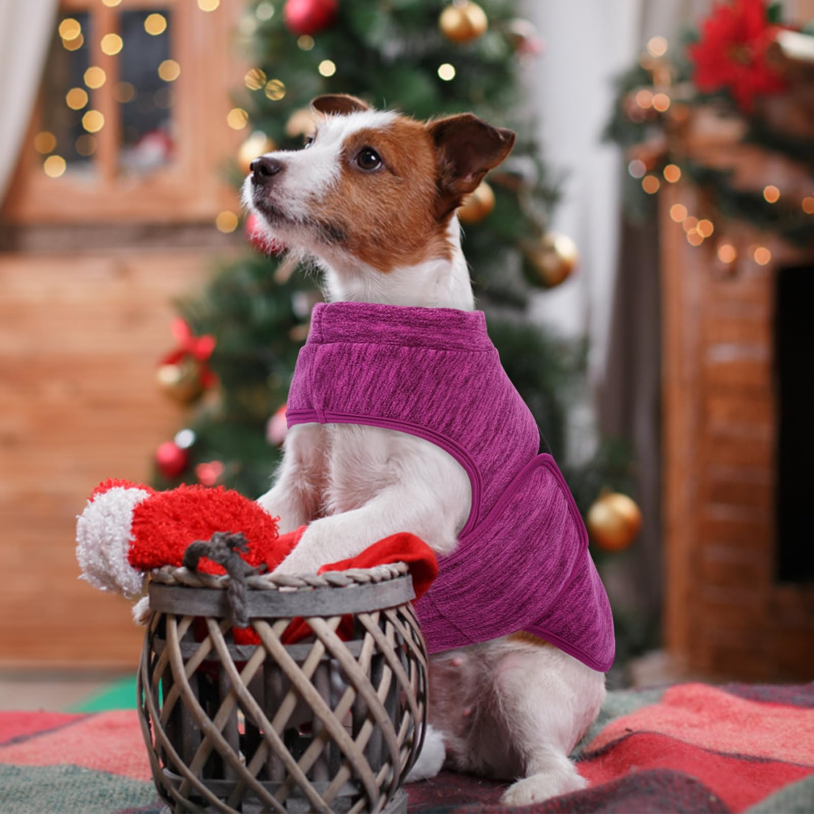 Queenmore winter wear ideal for outdoor walks and festive photos