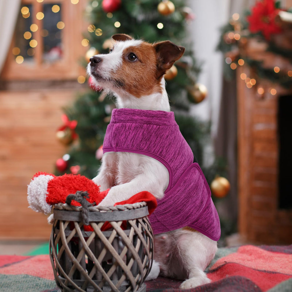Queenmore winter wear ideal for outdoor walks and festive photos