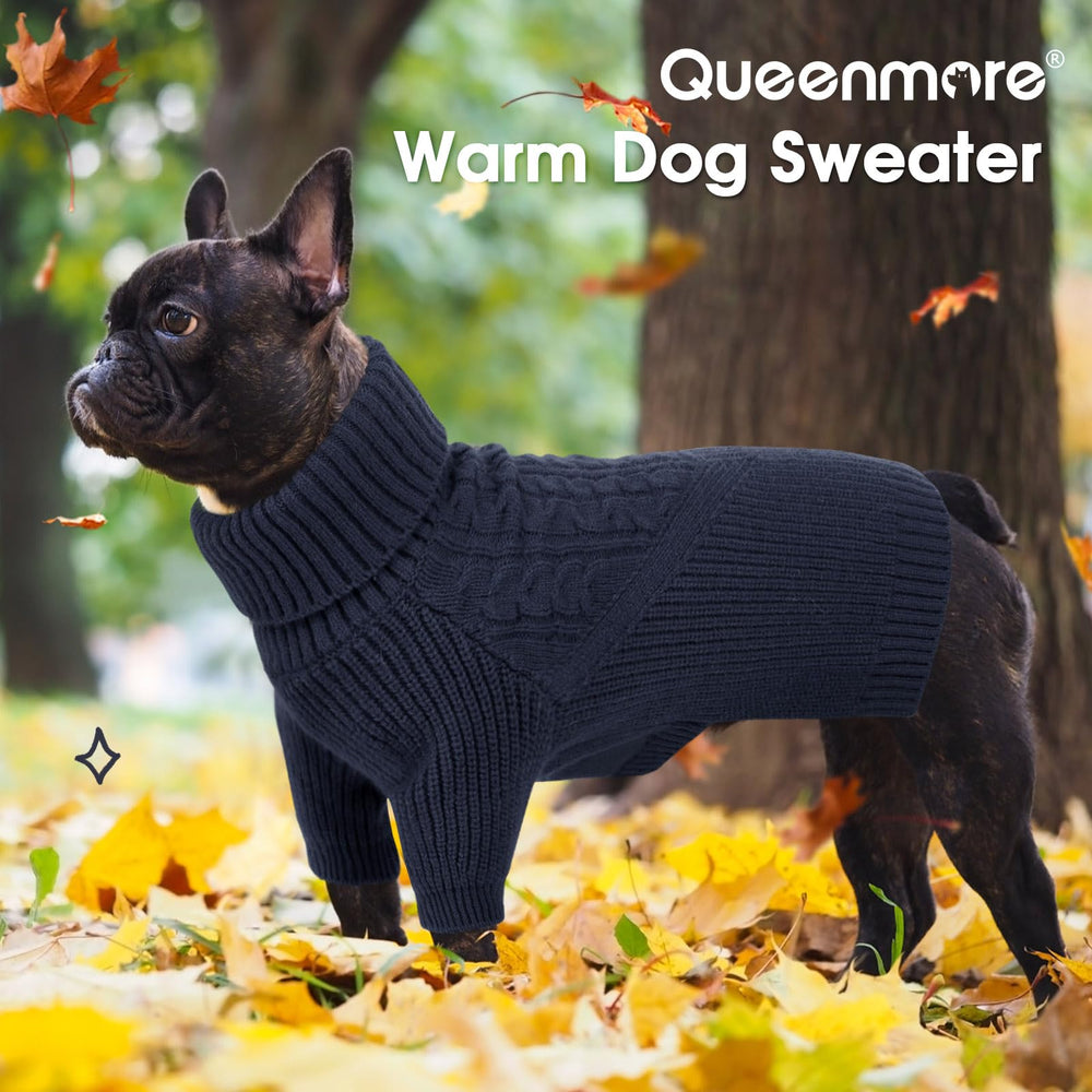 Queenmore XL dog sweater navy blue on holiday photo setup suggests festive style and warmth
