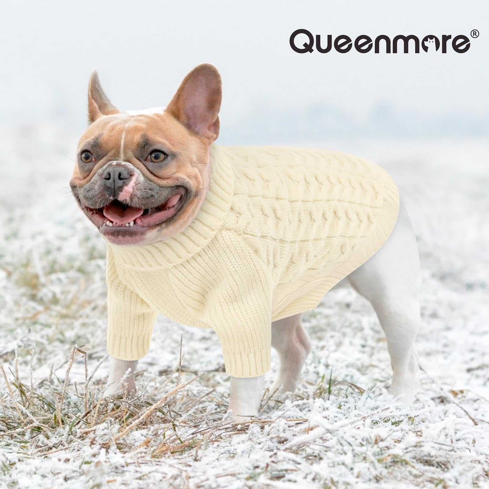 Queenmore XS dog sweater with multiple color options for versatile styling
