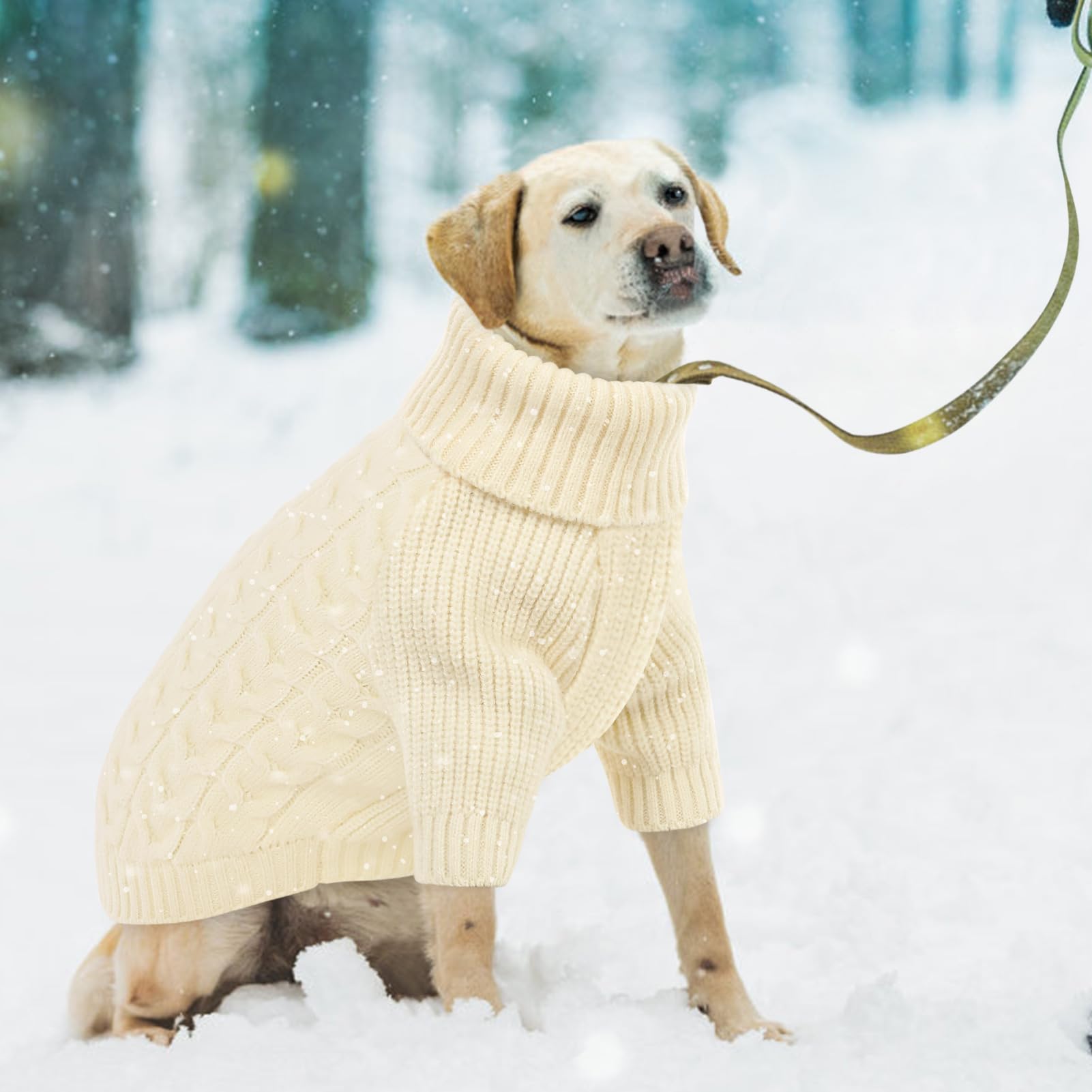Queenmore XS dog sweater worn on winter walk showing warmth