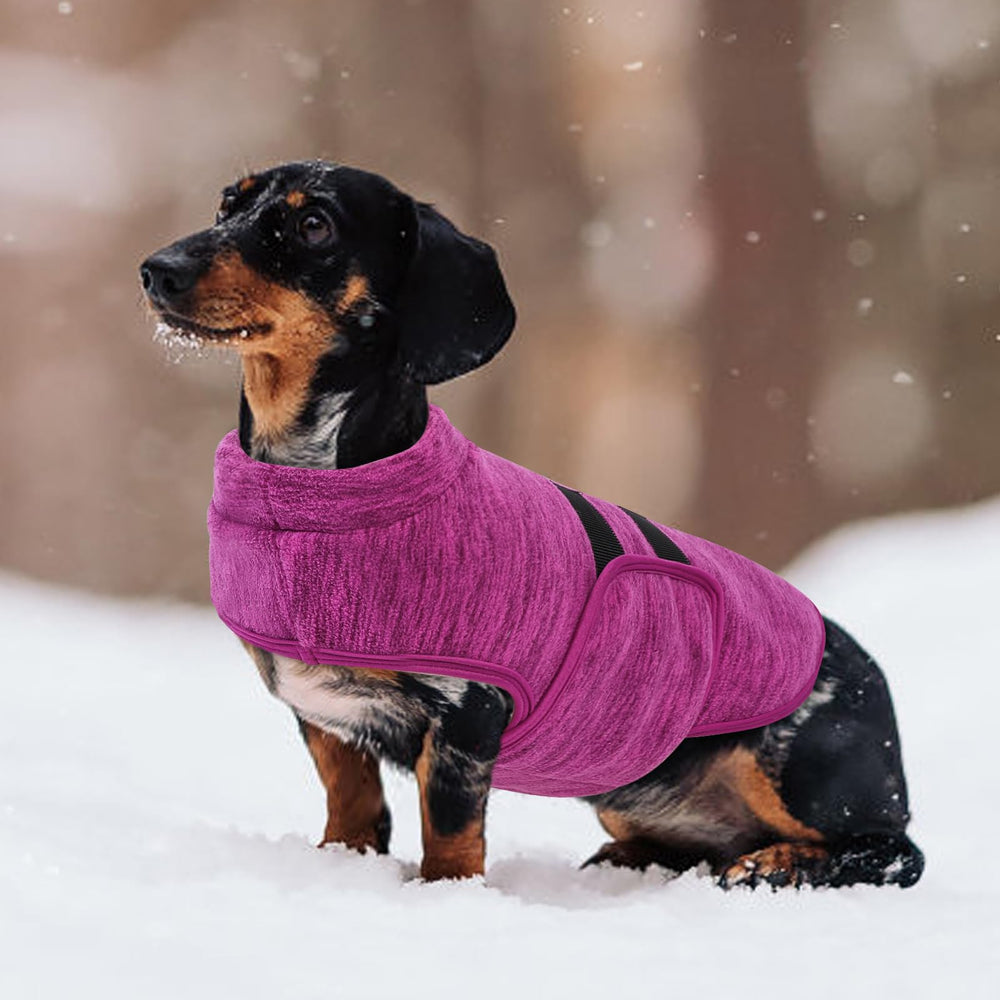 Queenmore XS-XL size range fits tiny to medium dogs and some cats