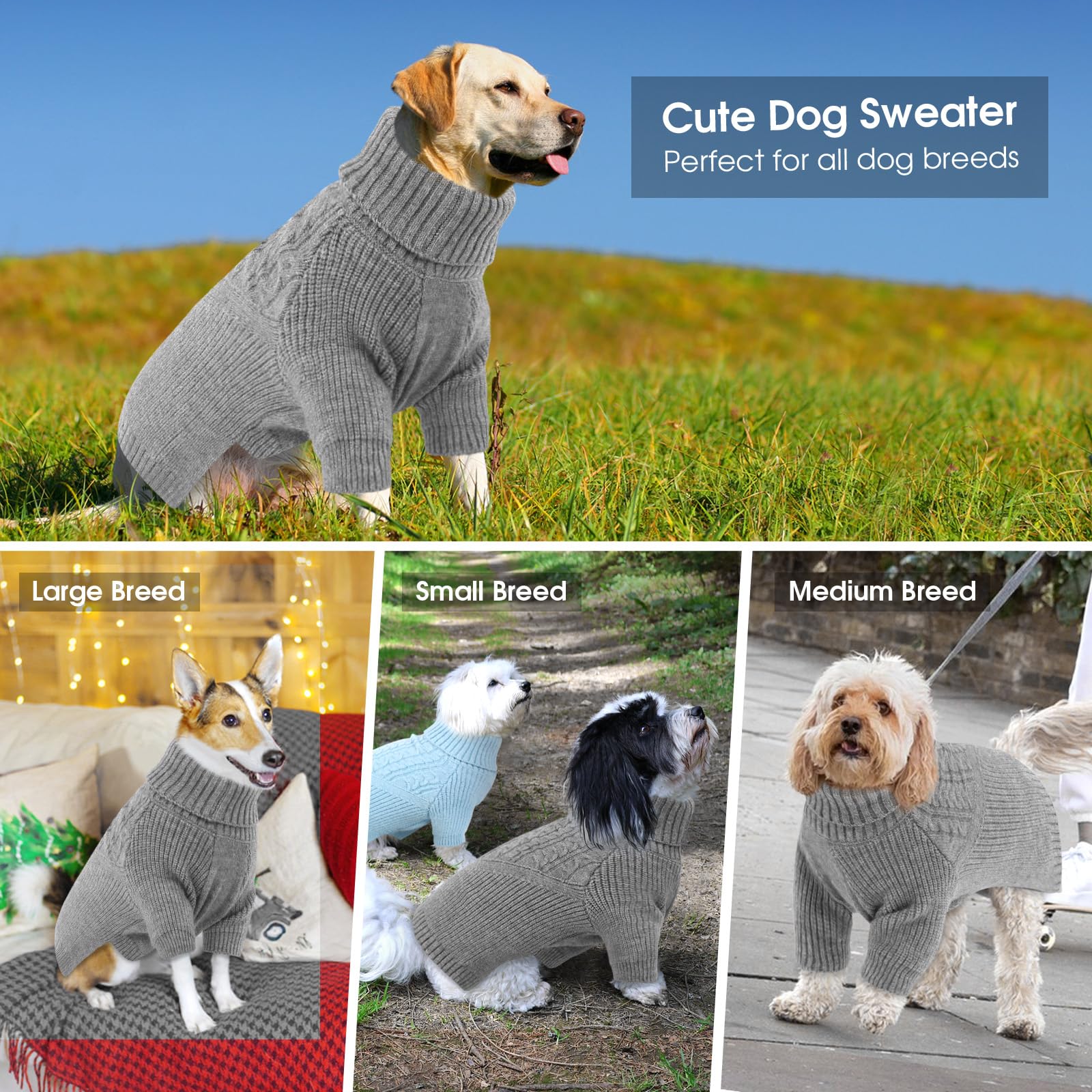 Queenmore XXL dog sweater on a large breed demonstrates chest coverage and mobility.