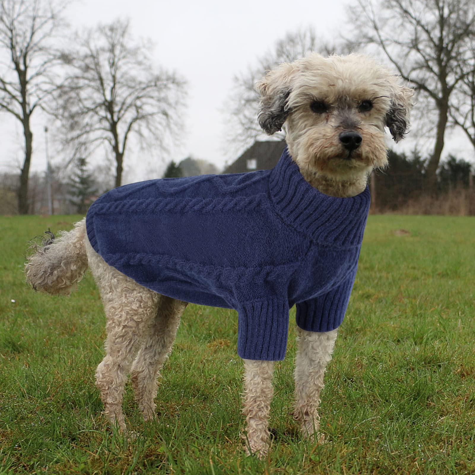 Queenmore XXL dog sweater back view provides full body coverage for cold days.