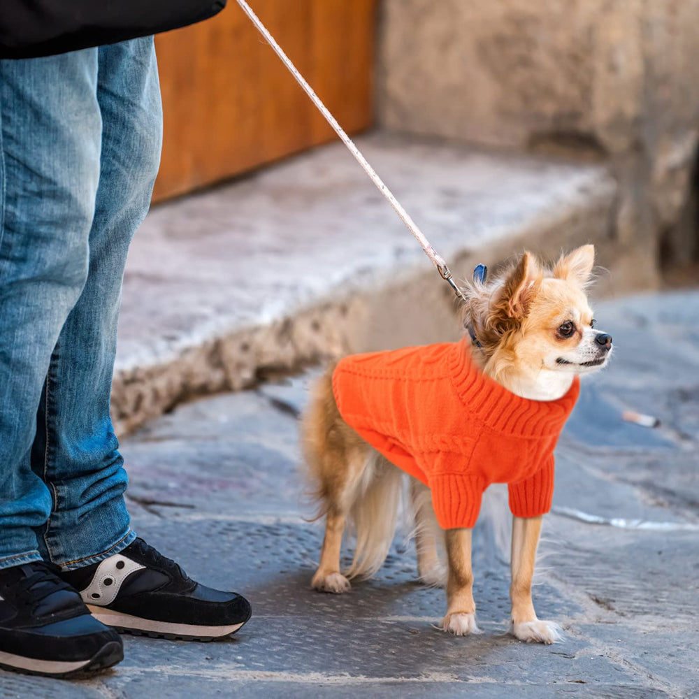 Queenmore XXL dog sweater elastic cuffs and hem ensure flexible, cozy warmth.