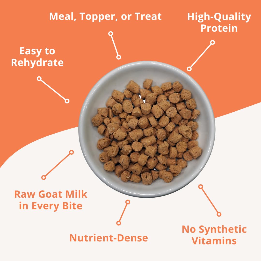 Quest cat food freeze-dried pork close-up demonstrates ready-to-rehydrate raw nutrition for cats.