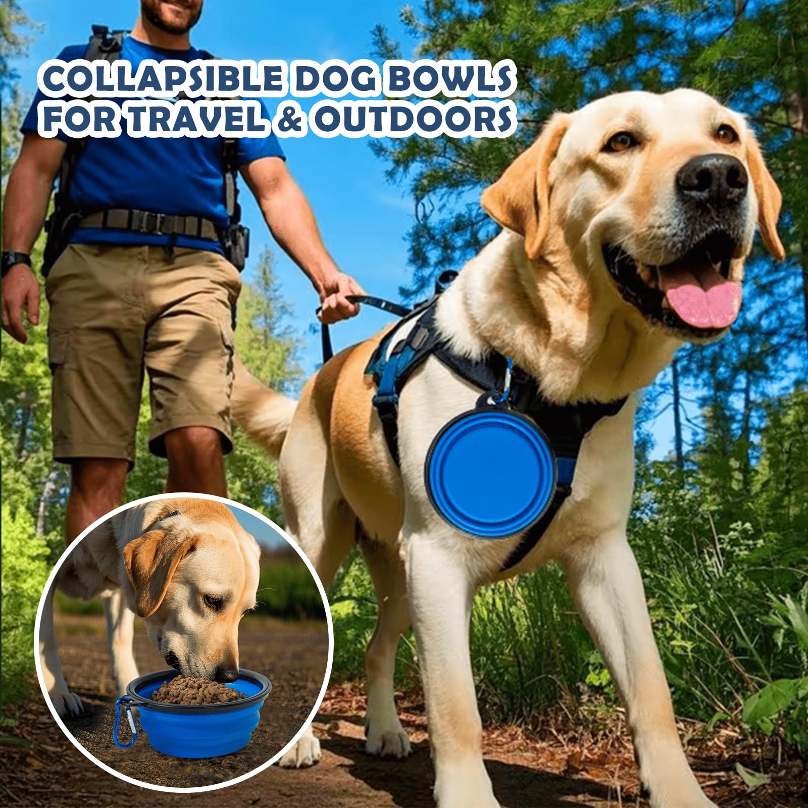 QUIBBLICK 36in soft dog crate travel-ready with easy transport.