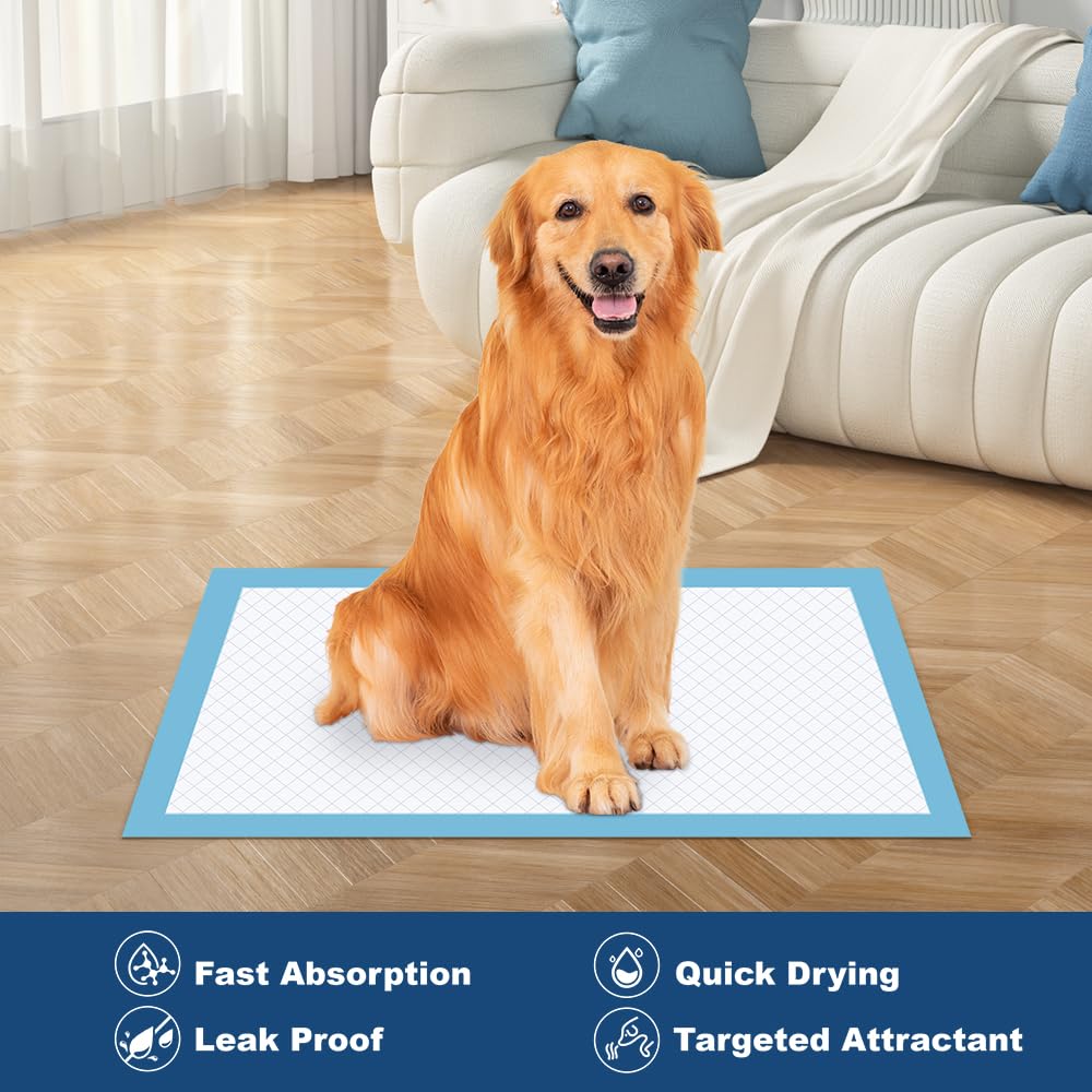 Quilocare 28 by 34 inch pads fit standard crates and rooms.
