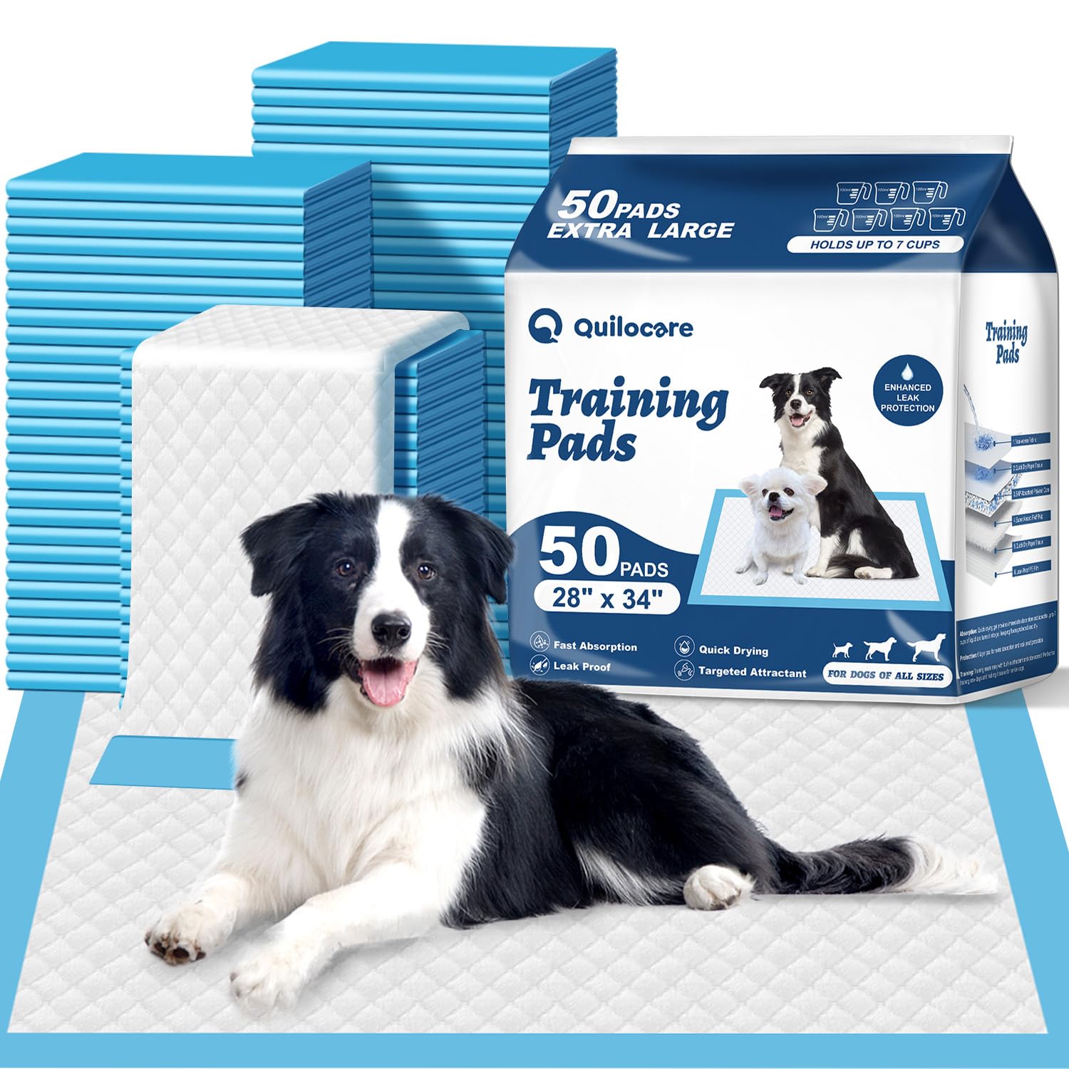 Quilocare 50-count pee pad pack closeup for bulk training needs.
