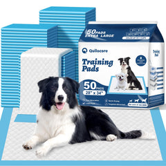 Quilocare 50-count pee pad pack closeup for bulk training needs.