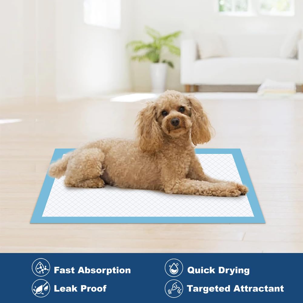 Quilocare pads in use during dog training sessions for neat results.