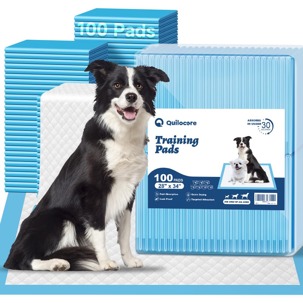 Q Quilocare puppy pads bulk 100-count for convenient potty training