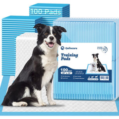 Q Quilocare puppy pads bulk 100-count for convenient potty training