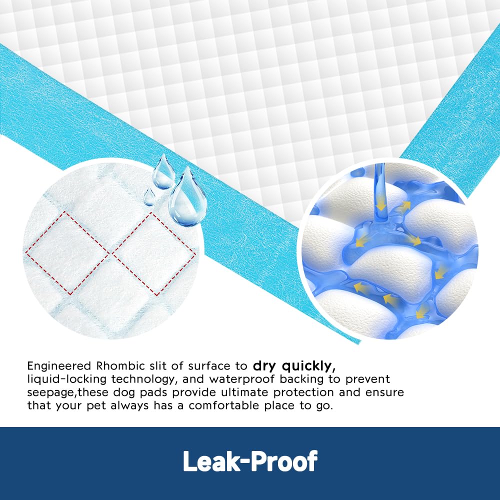 Quilocare puppy potty training spot with pheromone cues to guide dogs.
