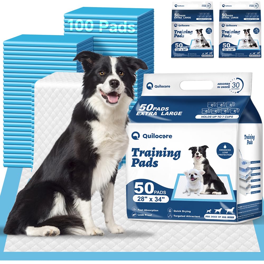 Quilocare XXL puppy pad in packaging for easy setup and shopping.
