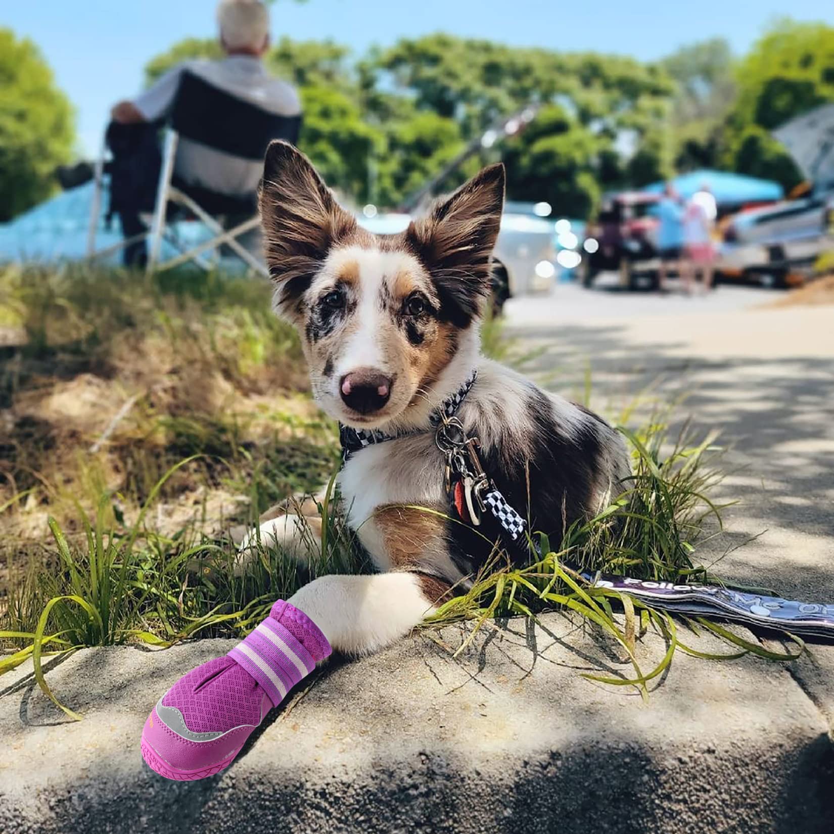 QUMY dog boots fashionable-design look stylish while protecting paws during daily strolls.