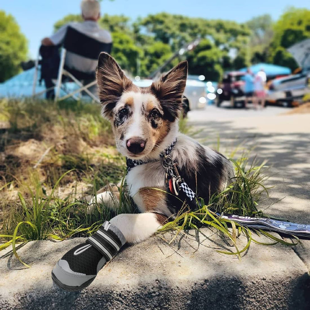 QUMY dog boots fashionable design adds style to outdoor adventures.