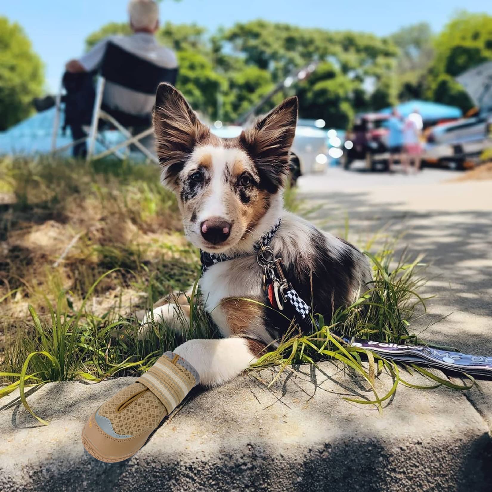 QUMY dog boots khaki-design combine style with practical outdoor protection.