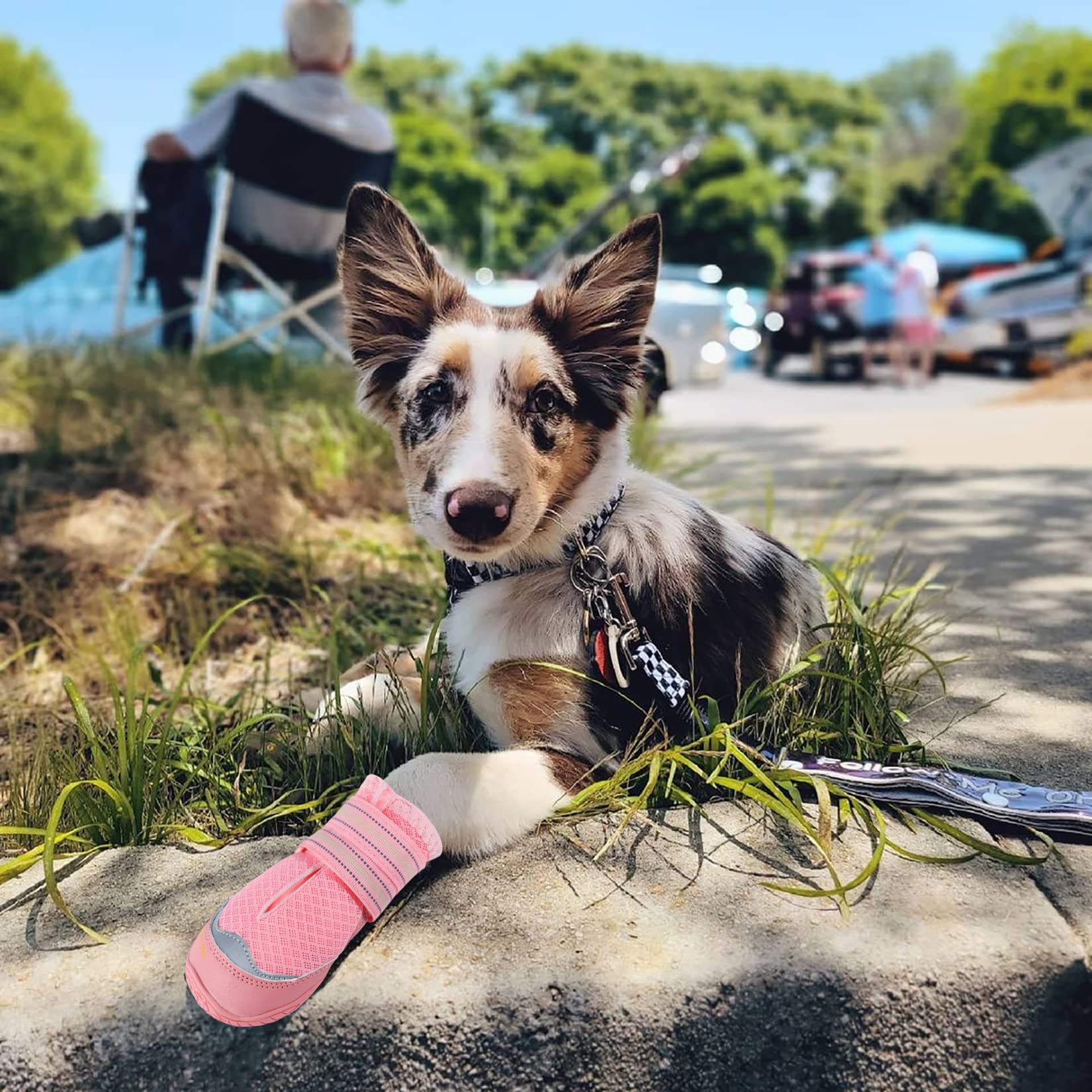 QUMY size 3 pink dog boots enabling smooth outdoor adventures