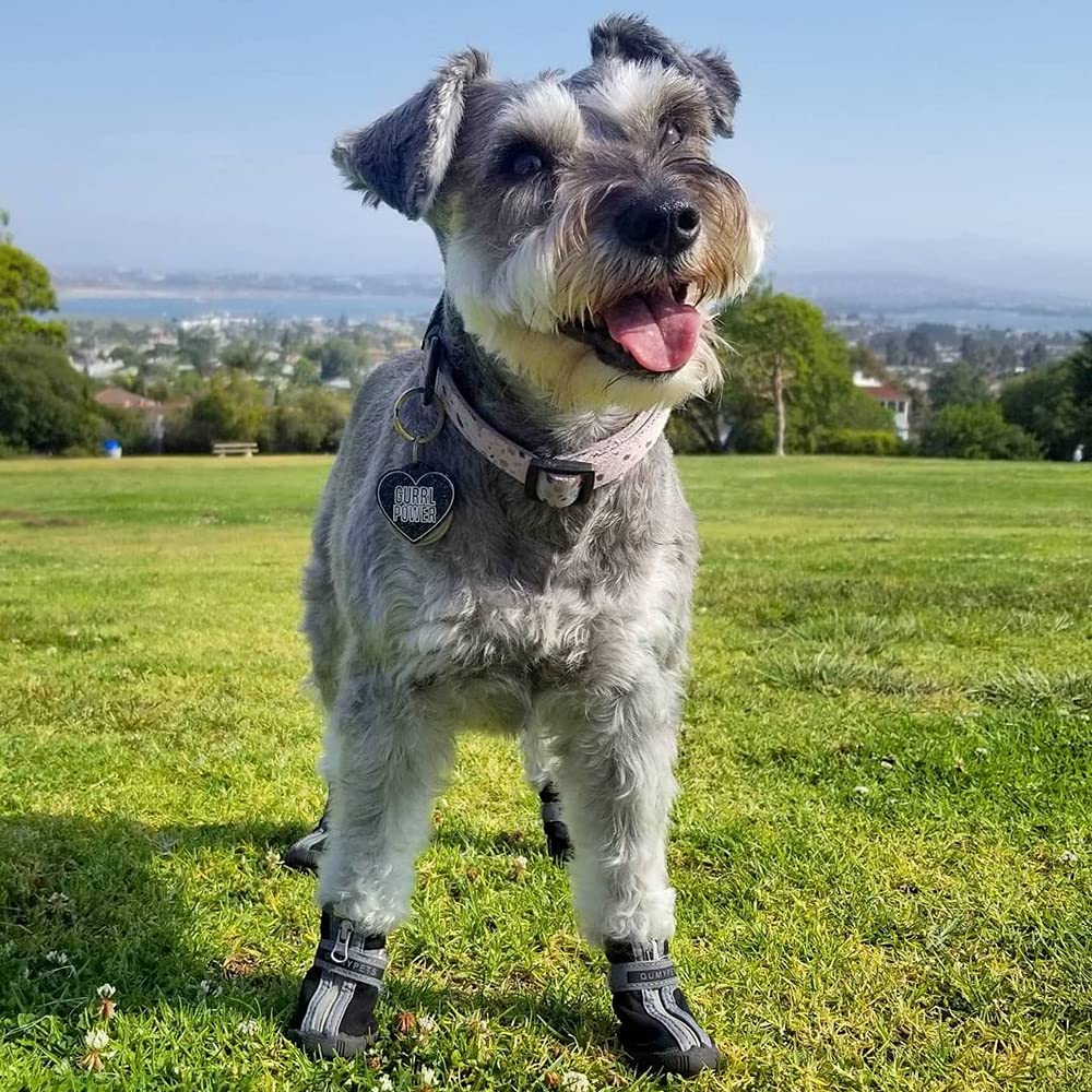 QUMY blue dog shoes size 3 lifestyle shot highlighting ease of use