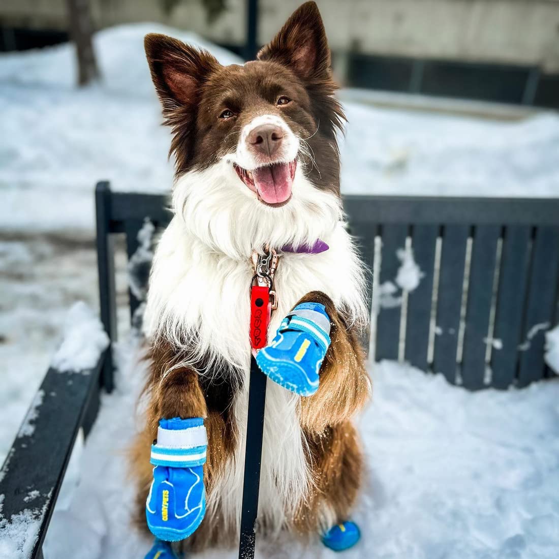 QUMY dog shoes easy on-off design saves time during quick outdoor trips.