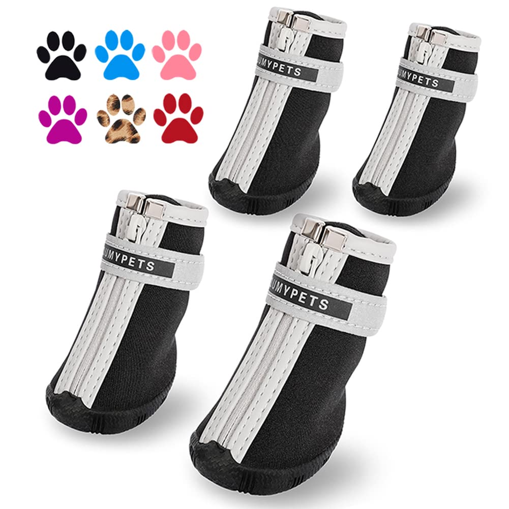 QUMY dog shoes with secure strap on a small paw for a snug fit.
