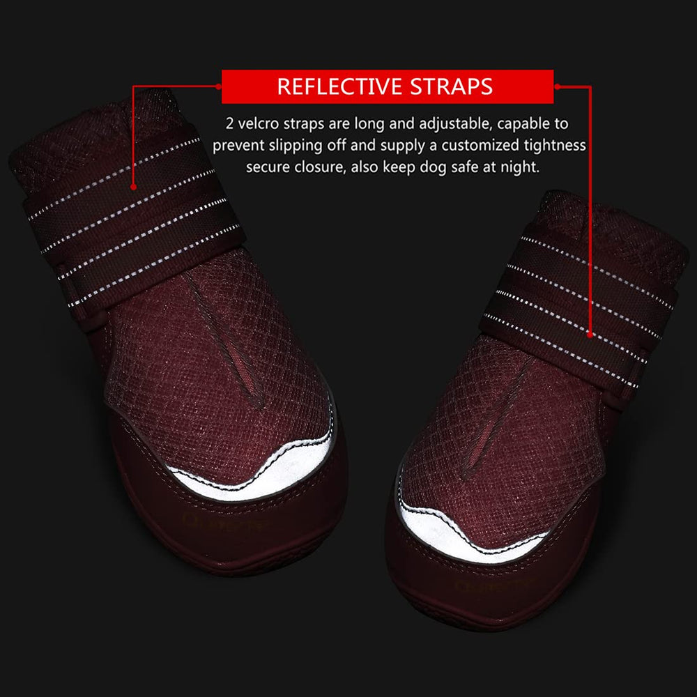 QUMY hot pavement protection during summer walks and hikes