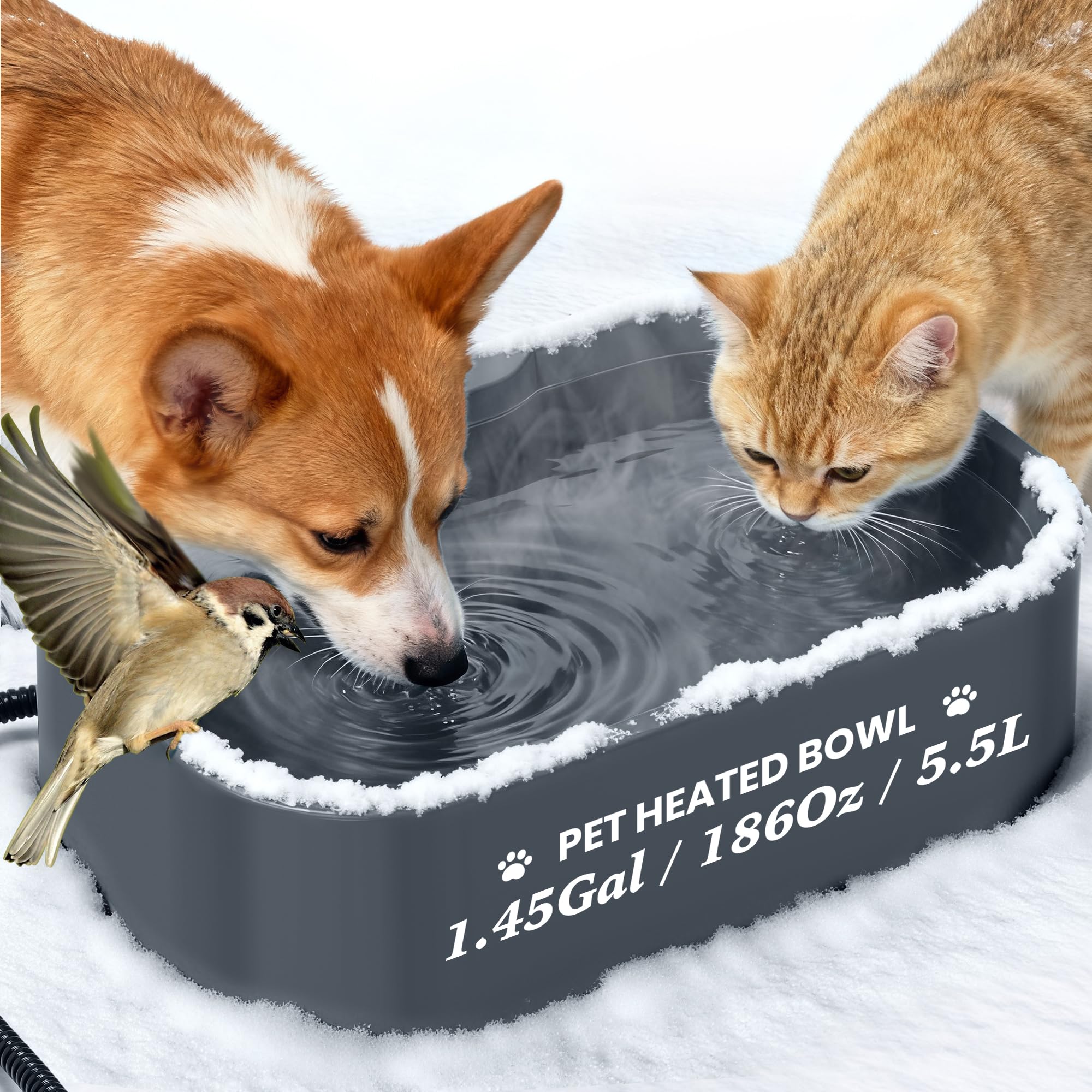 Qvamodo dog, cat, and rabbit-friendly warmed water bowl