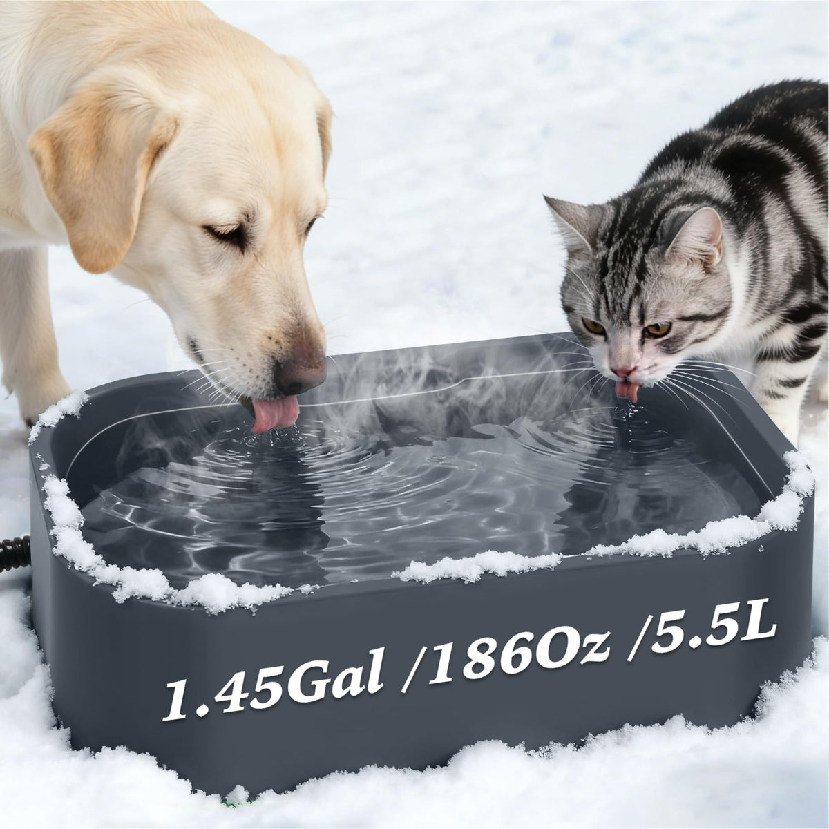 Qvamodo heated water bowl outdoors setup with warmth for pets.