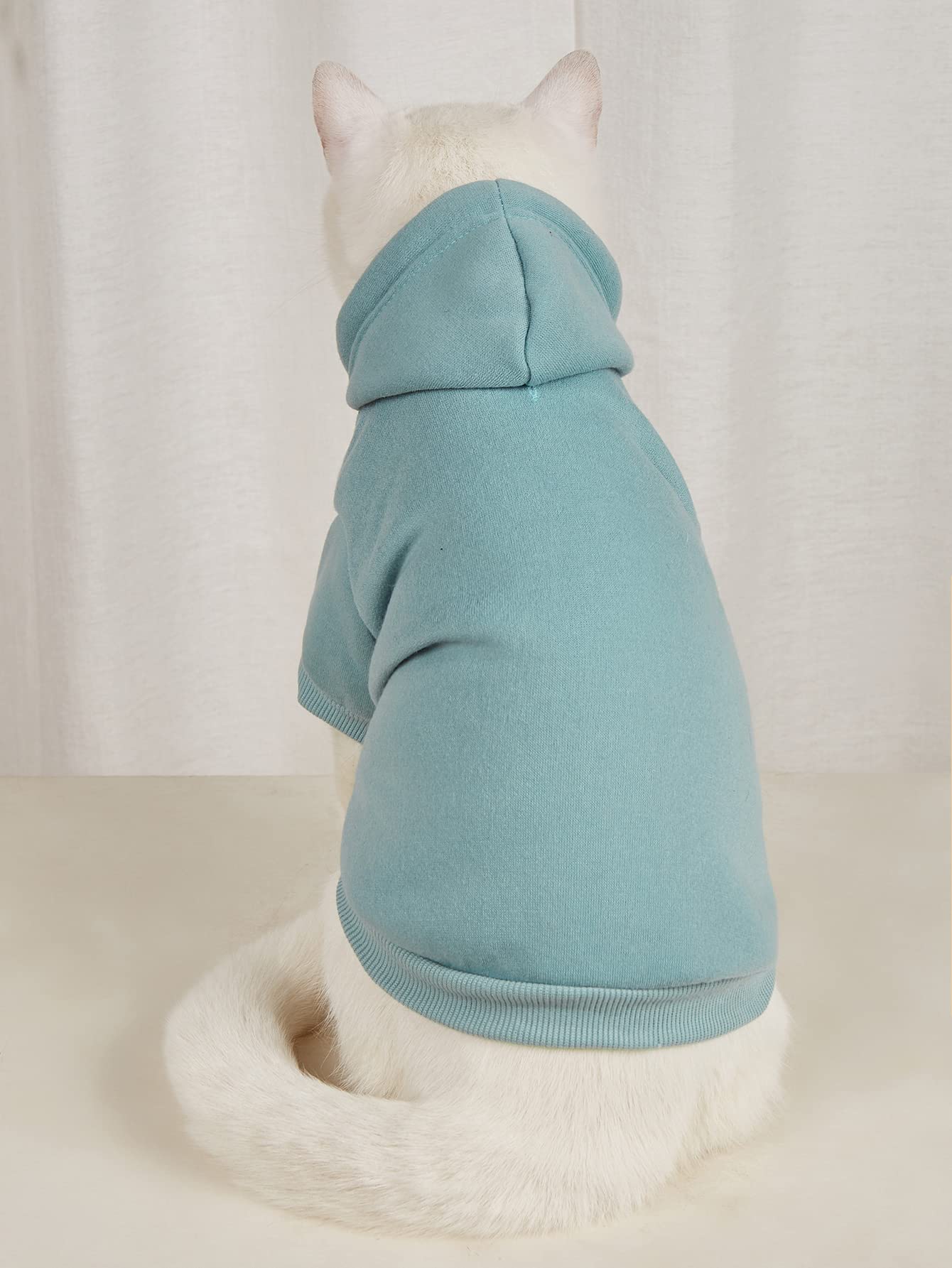 QWINEE Basic dog hoodie cadet blue back view, cozy coverage on chilly walks