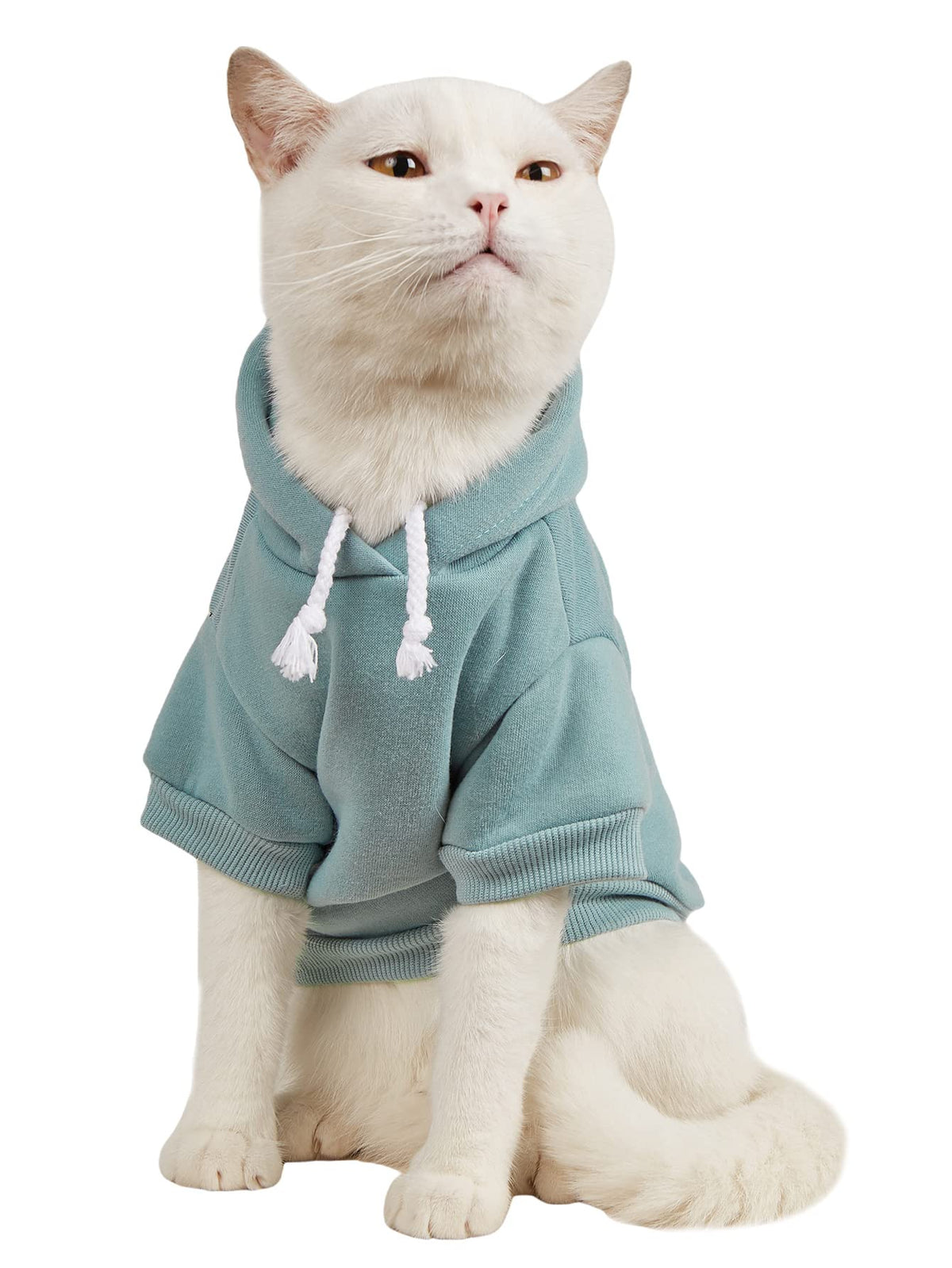 QWINEE Basic dog hoodie cadet blue front view for daily warmth
