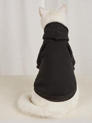 QWINEE Basic Dog Hoodie fabric close-up shows soft stretch knit for comfortable wear.