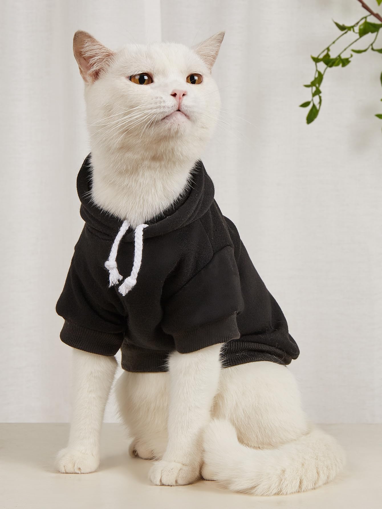 QWINEE Basic Dog Hoodie hood detail emphasizes secure fit and stylish design.