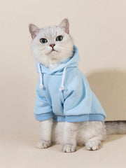 QWINEE Basic dog hoodie chest close-up emphasizes stretchy fabric and easy wear.