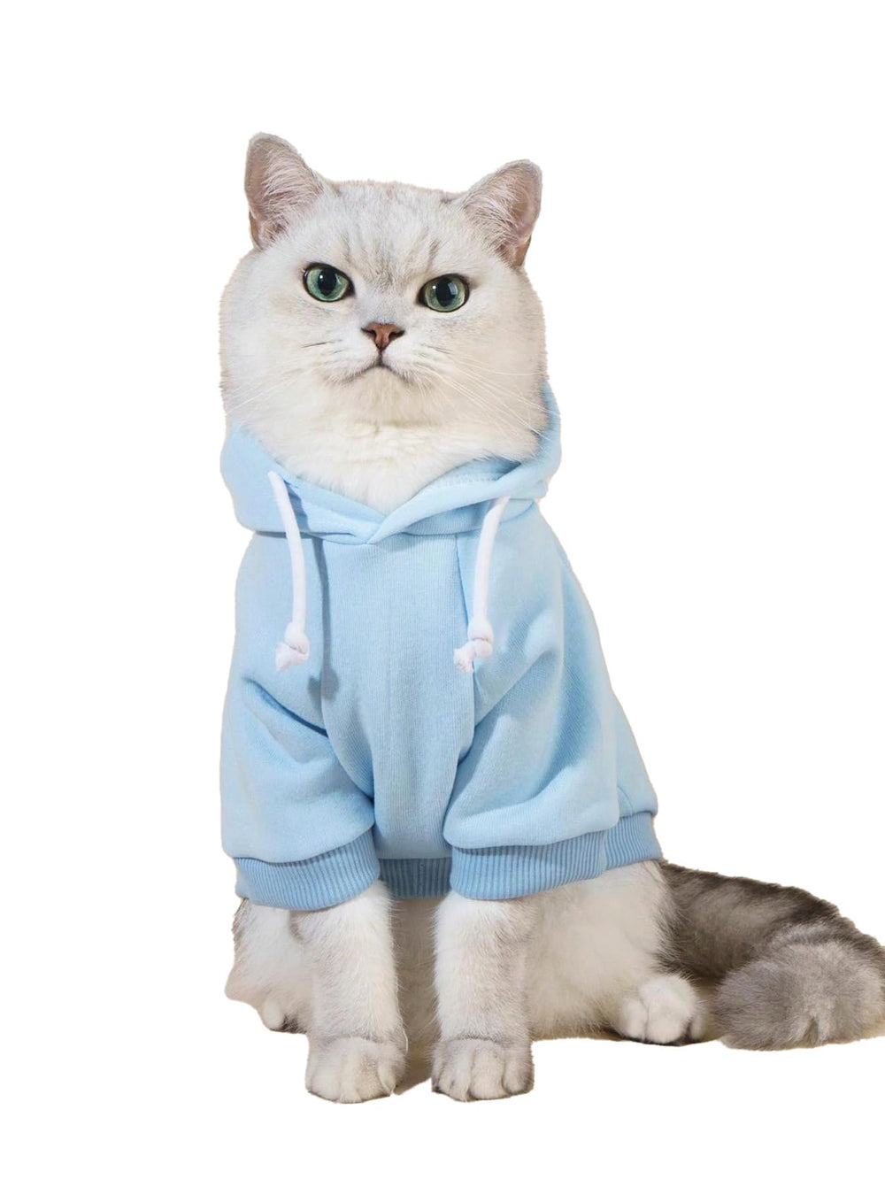 QWINEE Basic dog hoodie front view highlights cozy fit for chilly walks.