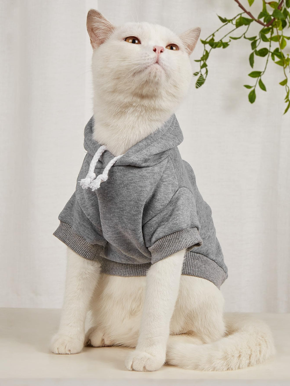 QWINEE Basic Dog Hoodie packaging shows ready-to-wear pet clothes for quick dress-up.