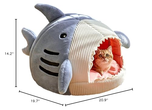 QWINEE Shark-Shaped Cat Mat resting kitten demonstrates secure semi-closed shelter.