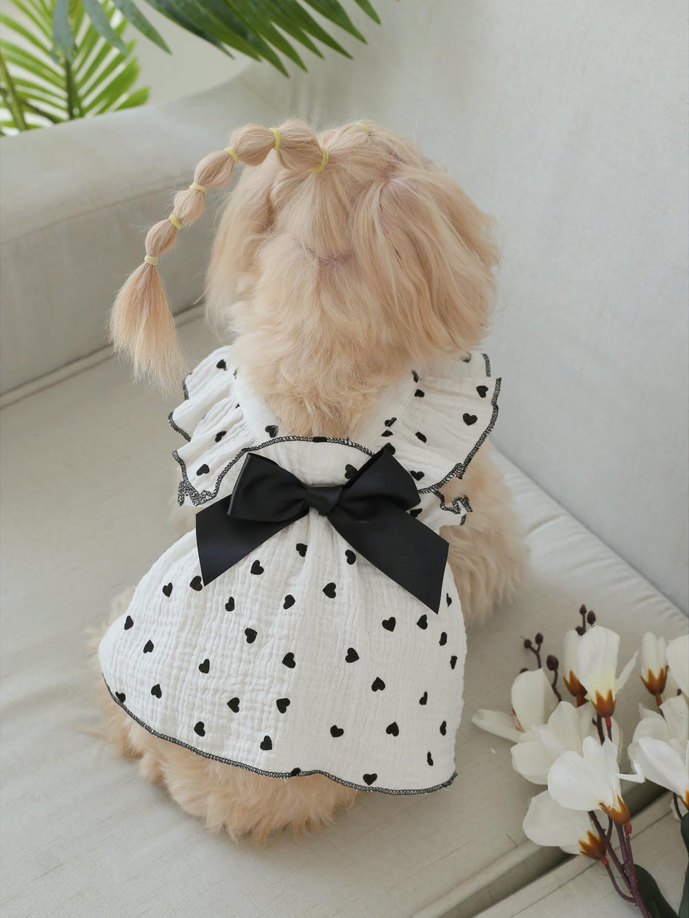 QWINEE heart-pattern cat vest dress front highlights cute design for comfy summer wear.