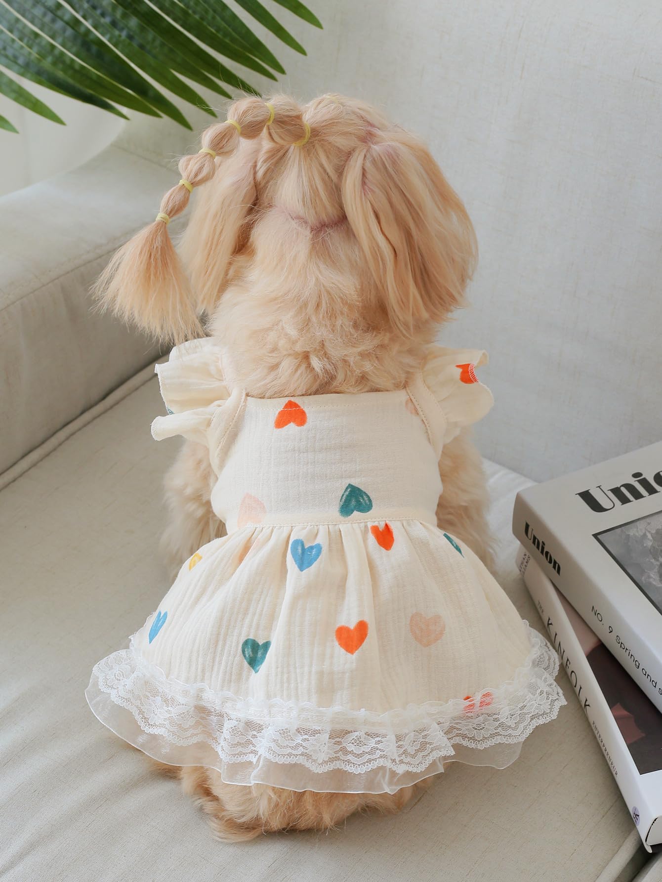 QWINEE cat vest dress lace trim closeup emphasizes delicate styling.