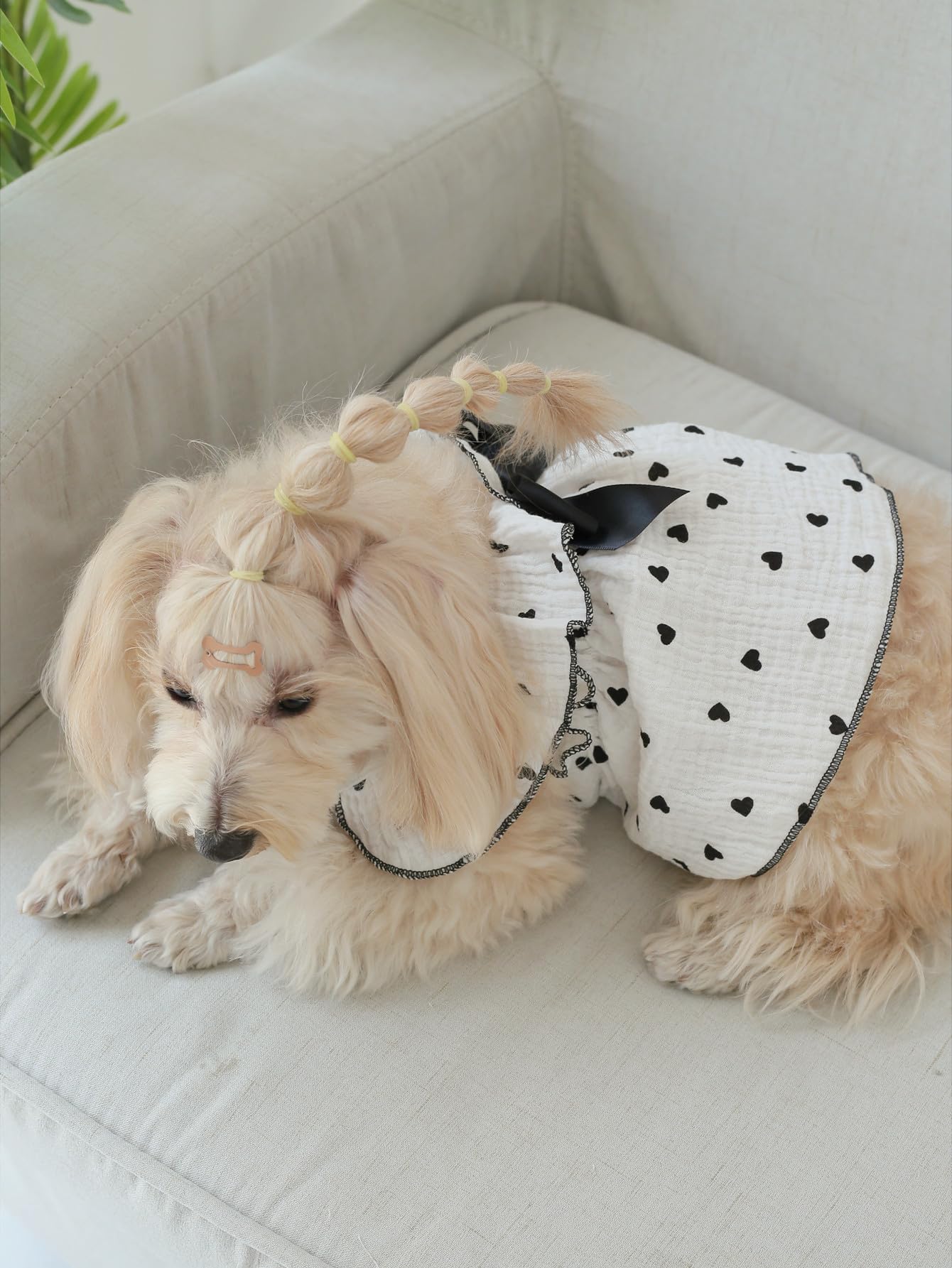 QWINEE heart-pattern dog dress detail shows ruffle trim and breathable fabric.