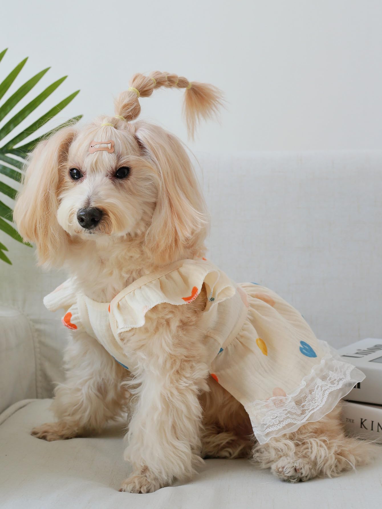 QWINEE soft fabric closeup confirms gentle touch for sensitive pets.