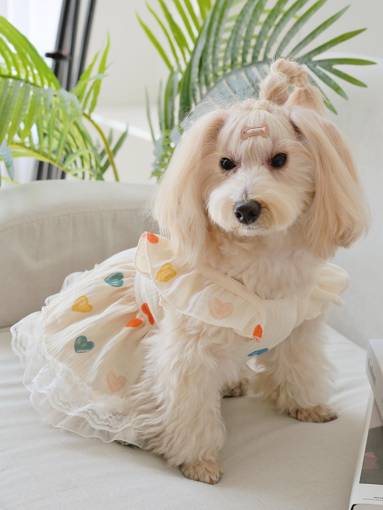QWINEE summer pet outfit dog shows lightweight comfort for sunny adventures.