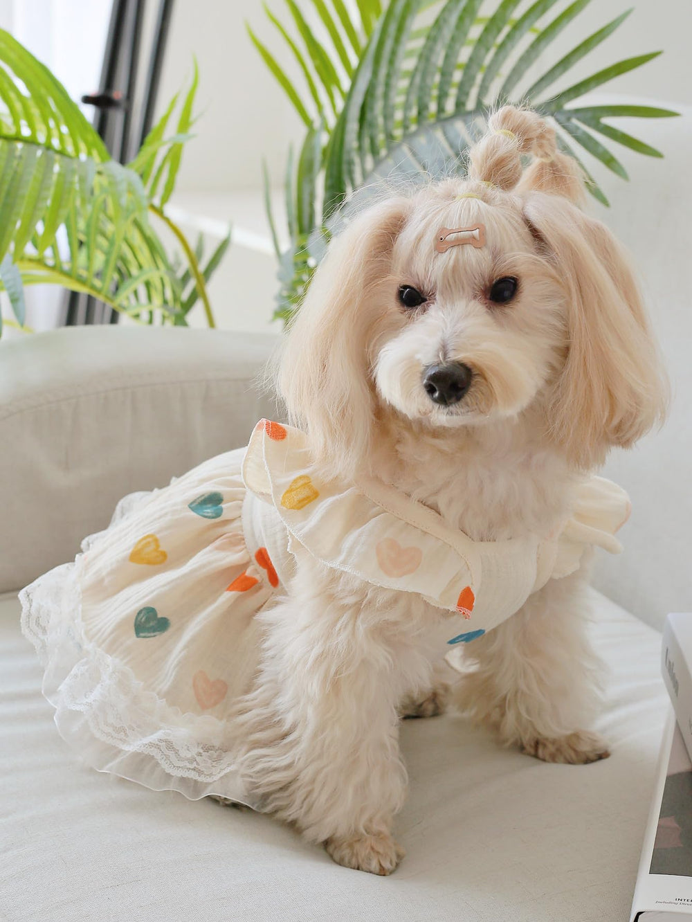 QWINEE summer pet outfit dog shows lightweight comfort for sunny adventures.