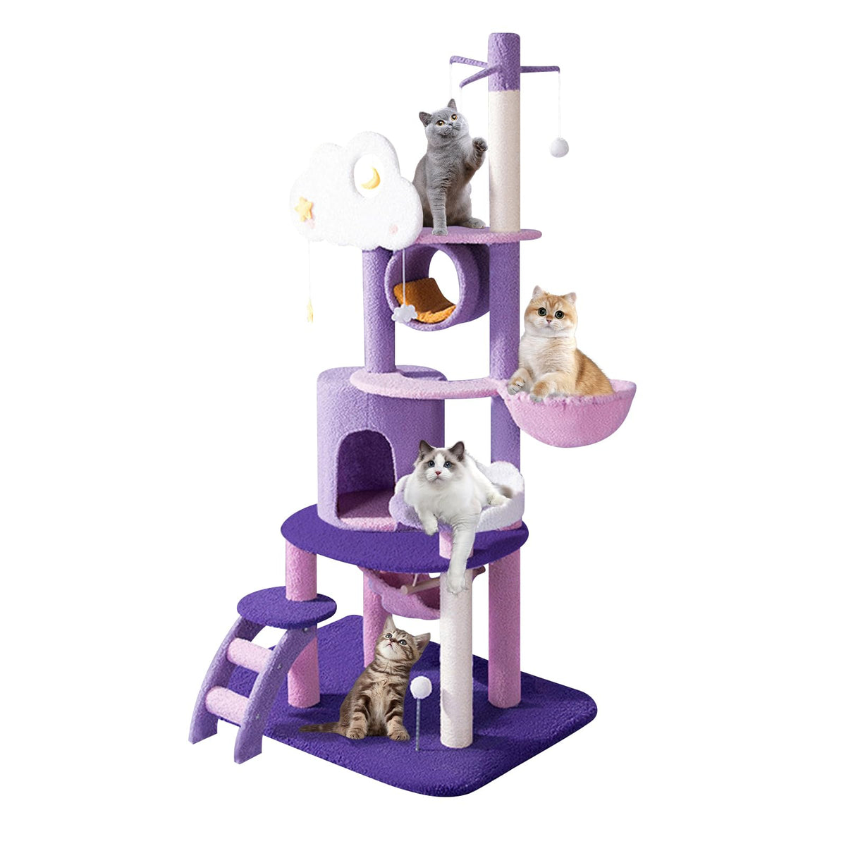 QWJORV 67inch cat tree with sisal posts supports durable scratching and climbing.