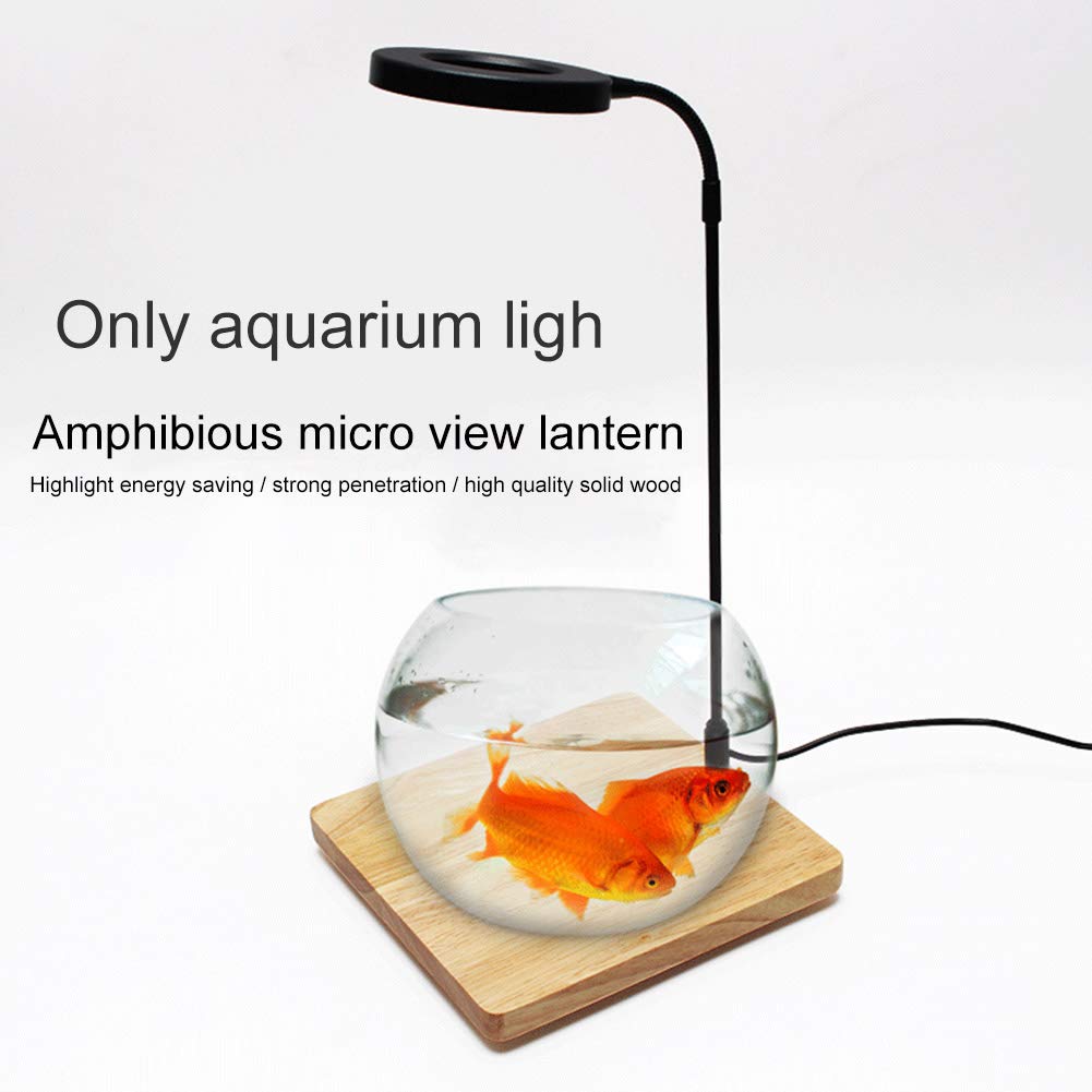 QWLWBU full-spectrum UV/IR range supports nuanced tank environments.