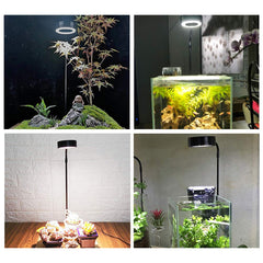 QWLWBU height-adjustable bracket enables precise light positioning for maintenance.
