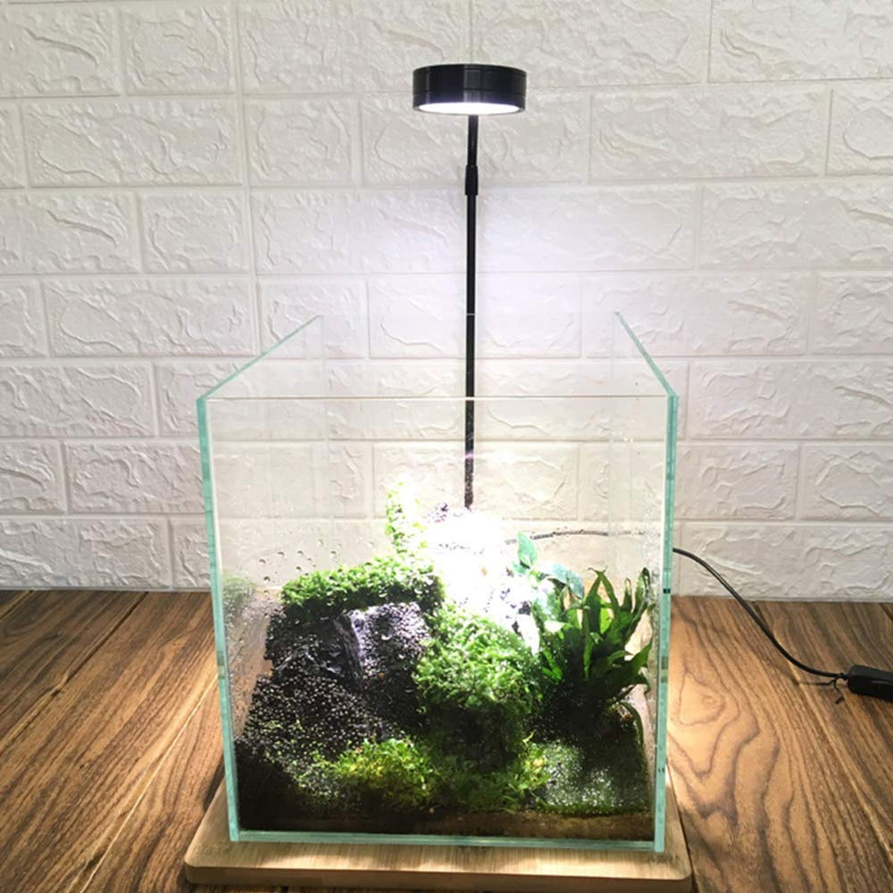 QWLWBU plant grow light suitable for potted plants indoors.