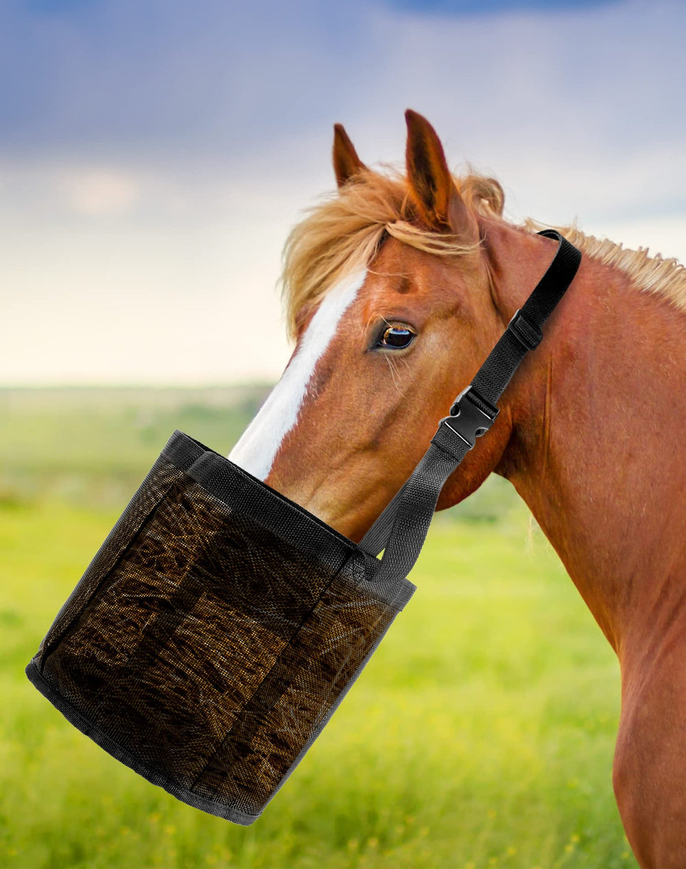 QWORK breathable-mesh feed bag emphasizes airflow while feeding.