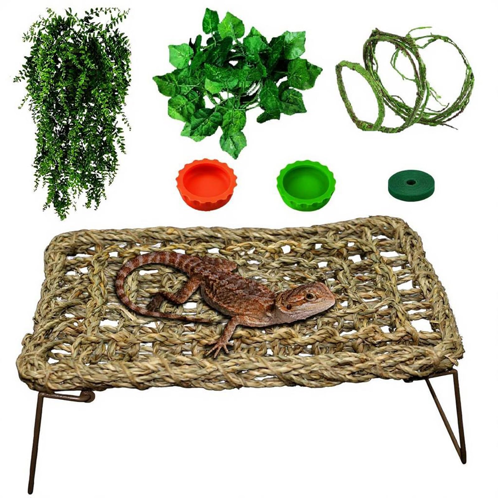 QWR Bearded Dragon hammock in terrarium for resting and basking