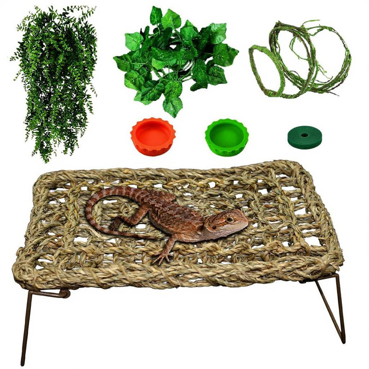QWR Bearded Dragon hammock in terrarium for resting and basking
